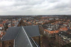 The Niewe Kirche roof in Delft.